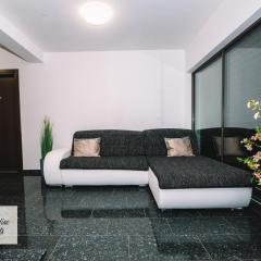 Bled Prestigious and Stylish Apartments - Standard One Bedroom Apartment with Balcony