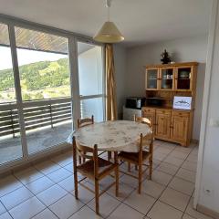 Appart 6 pers avec Parking privé, près du Lac et ski - FR-1-814-71