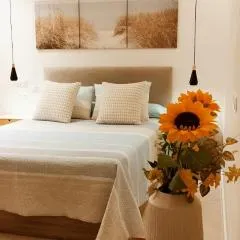 Estudio centro de La Laguna