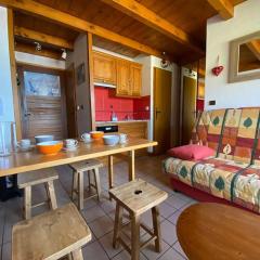 Studio cosy 4 personnes à 100m des pistes - FR-1-733-166