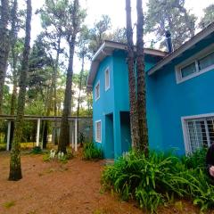 Casa Noviembre en el bosque