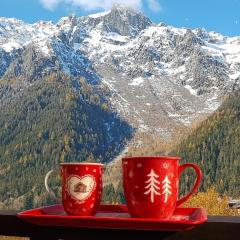 Le Sapi 1E Balcon panoramique Aiguilles Rouges avec parking gratuit
