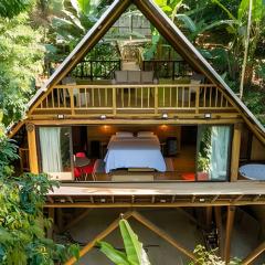 Casa Trikona - Imersa na floresta na Aldeia Rizoma