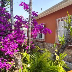 WR7 hostel SP EXPO a 5 min da expo