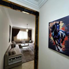 شقة مريحة في قلب المدينة