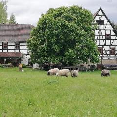 Appenhof Müllerhaus