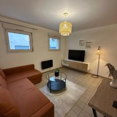 Appartement hyper centre ville