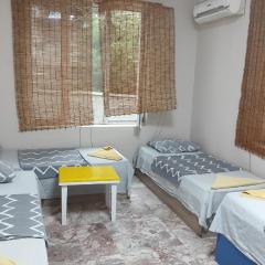 Стая лидер хаус