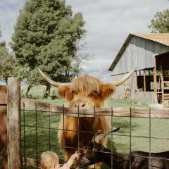 Gîte à la ferme - Animaux et séjour ressourçant