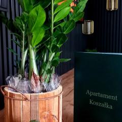 Apartament Koszałka