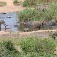 Villa-Candilabra Guesthouse