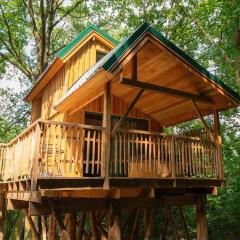 Cabane Pic Vert