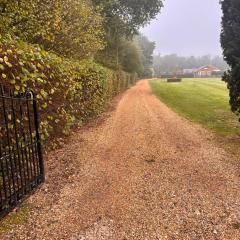 Pet Friendly Dorset Getaway Hot Tub and Alpacas Relaxing UK Short Break