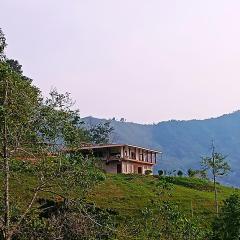 Bosque Místico