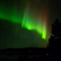 Tervetuloa nauttimhaan puhtaasta luonnosta Pelhoon