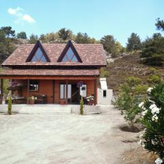 Agros Timber Log House