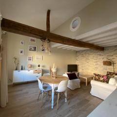 Charmant appartement centre ville de Castres