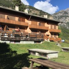 Fior d'Alpe