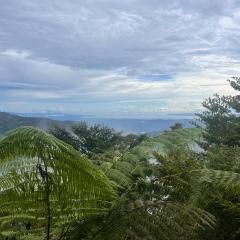 Casa Bromelia