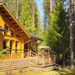 Quiet Lakeside Forest Escape