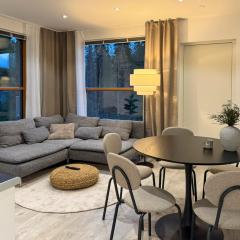 Aurora Apartment Ruka, with 2 bedrooms, sauna and terrace