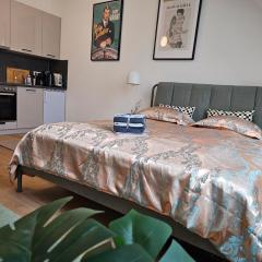 Private Studio Central Vienna