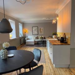 Upscale 3BR Apartment in City Center