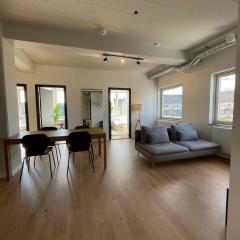 Norrebro big apt