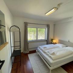 Spacious Private House in Amager
