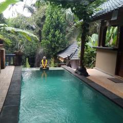 Secluded jungle villa w private pool & serene view