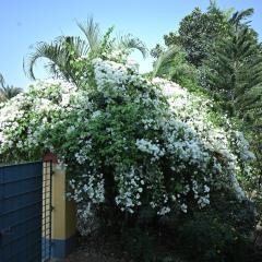 Muktadhara Eco Homestay