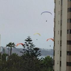 Miraflores Moonlight
