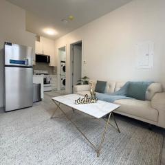 South surrey Secondary Suite with Kitchen