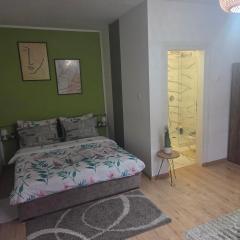 Zen apartman 8