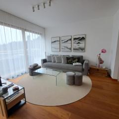 Laax Alpine Lodge by Quokka 360 - terrace with magnificent mountain views