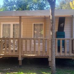 Mobil-home 5 pers climatisé - Plage et forêt - Camping Les Oyats Seignosse