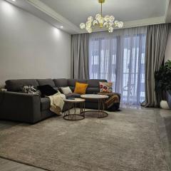 Fancy Apartments in Kileleshwa