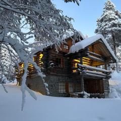 Ahmanpesä Visit Levi