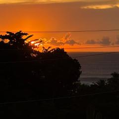 Tres Palmas Boutique Hotel