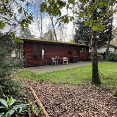 Chaletpark de Kempenbos - 196