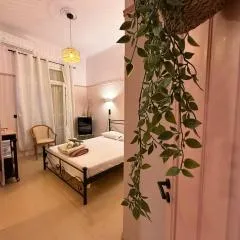 Classic rooms in the center