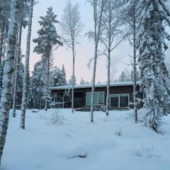 Lapland Lakefront Villa -Santa & Northern Lights