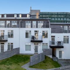 Modern Apt RVK City Center