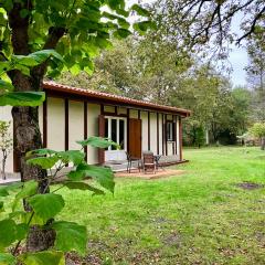 Maison en forêt, calme, proche village et piste cyclable - meublé 3 étoiles
