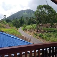 Homestay Alina
