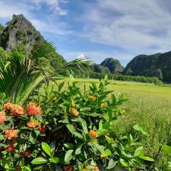Tam Coc Amazing View Homestay