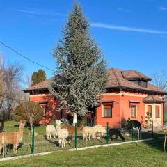 Family friendly house with a parking space Andrijasevci, Slavonija - 24939