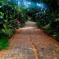 NesaraVana - Ecostay