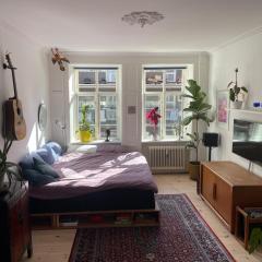 Stunning authentic renovated apt I Near Lakes & Metro
