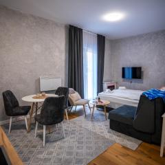 Mountain goat Bjelašnica